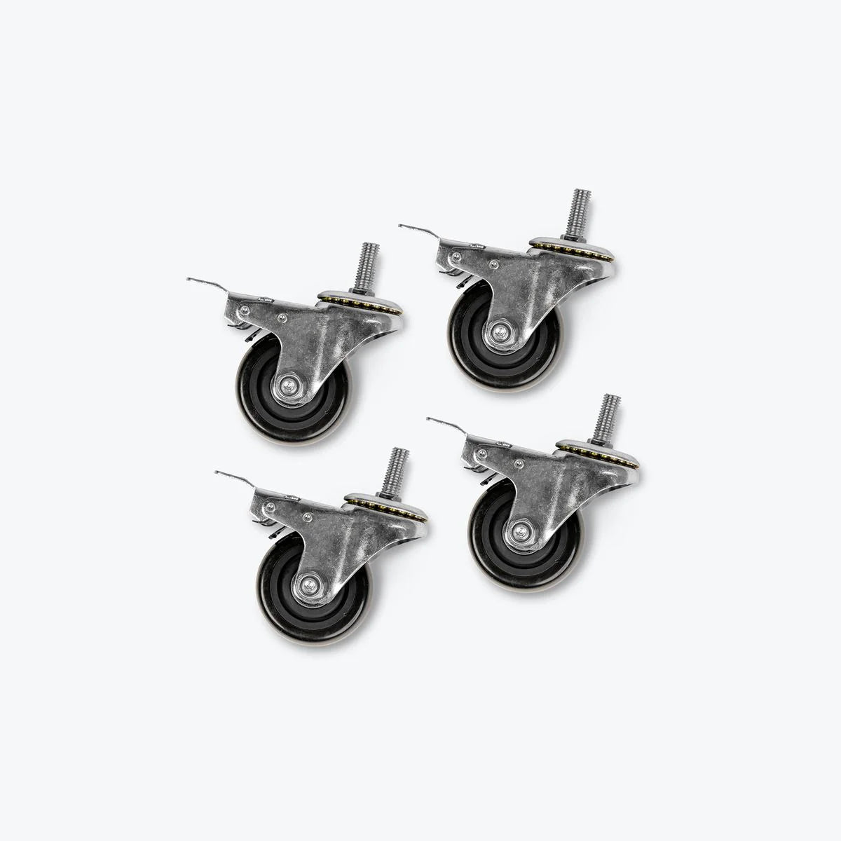 OLYMPIC PLATE HOLDER