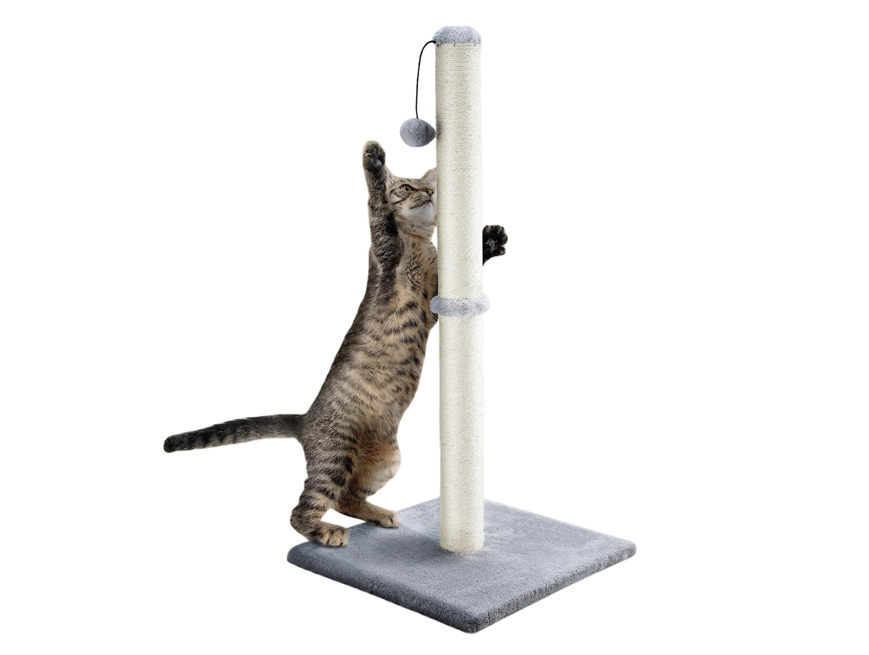 Door hanging cat scratching post online