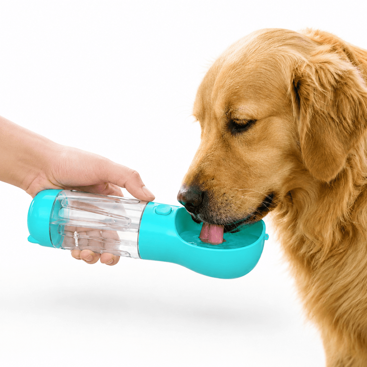 Portable Dog Water Bottle – 300 mL