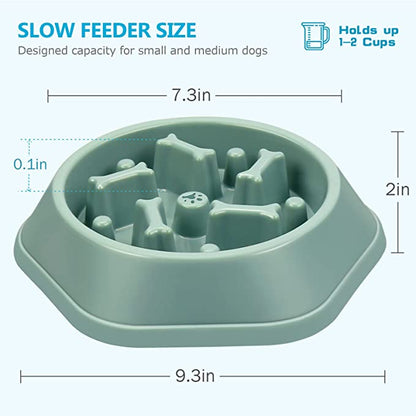 Paws & Puzzles Slow Feeder Bowl