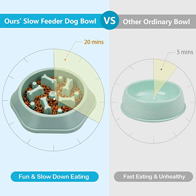 Paws & Puzzles Slow Feeder Bowl