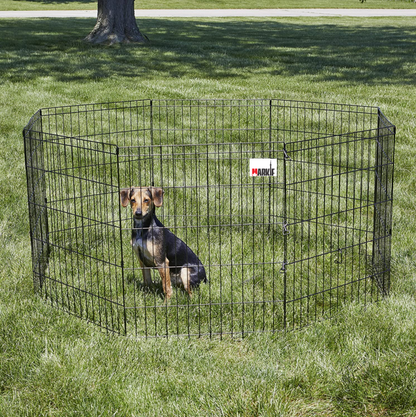 8 panels Foldable Metal Exercise Pet Playpen