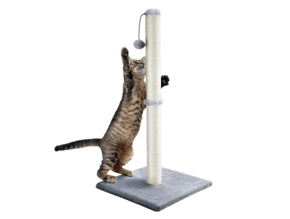 32'' Tall Cat Scratching Post with Hanging Ball