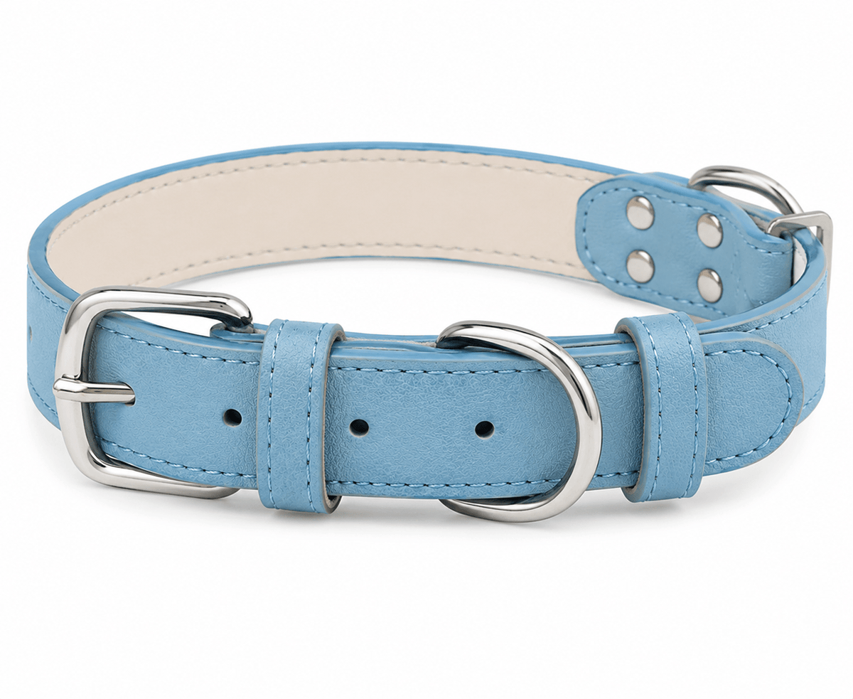 Adjustable Dog Collar with Metal Buckle - Markif Pet Shop