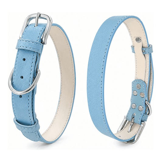 Adjustable Dog Collar with Metal Buckle