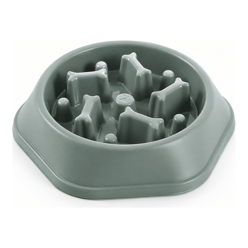 Slow Feeder Dog Bowl