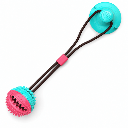 Suction Cup Dog Chew Toy with Treat Ball - Markif Pet Shop